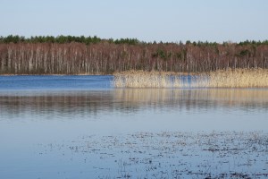 Шацькі озера